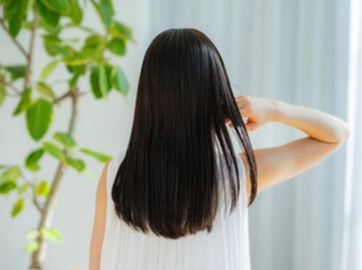 AdobeStock_267069464