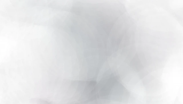 22207173_s